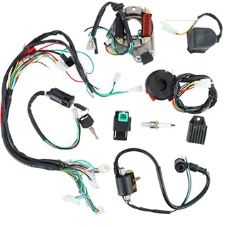 Full Wiring Harness 50cc to 110cc small quad, Pit Bike.