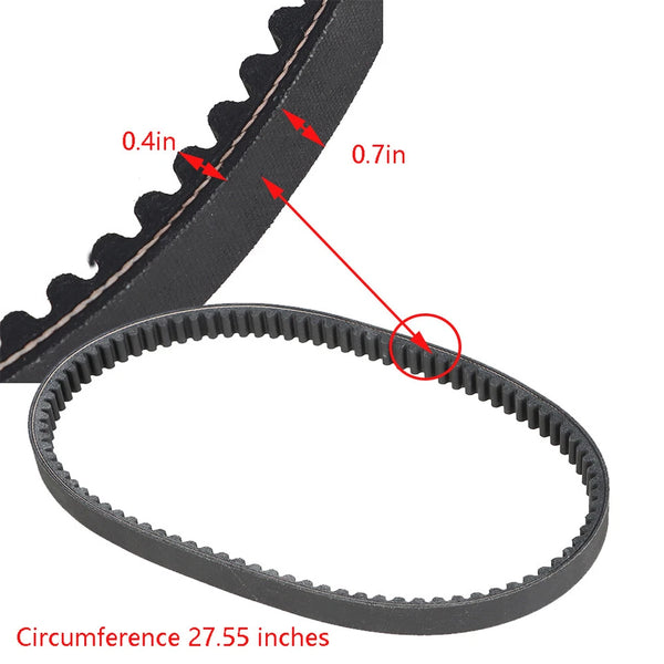 Torque Converter Belt 203597
