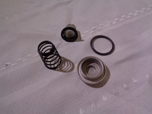 GY6 OIL FILTER SCREEN OEM REPLACEMENT KIT, 50cc, 125cc, 150cc.